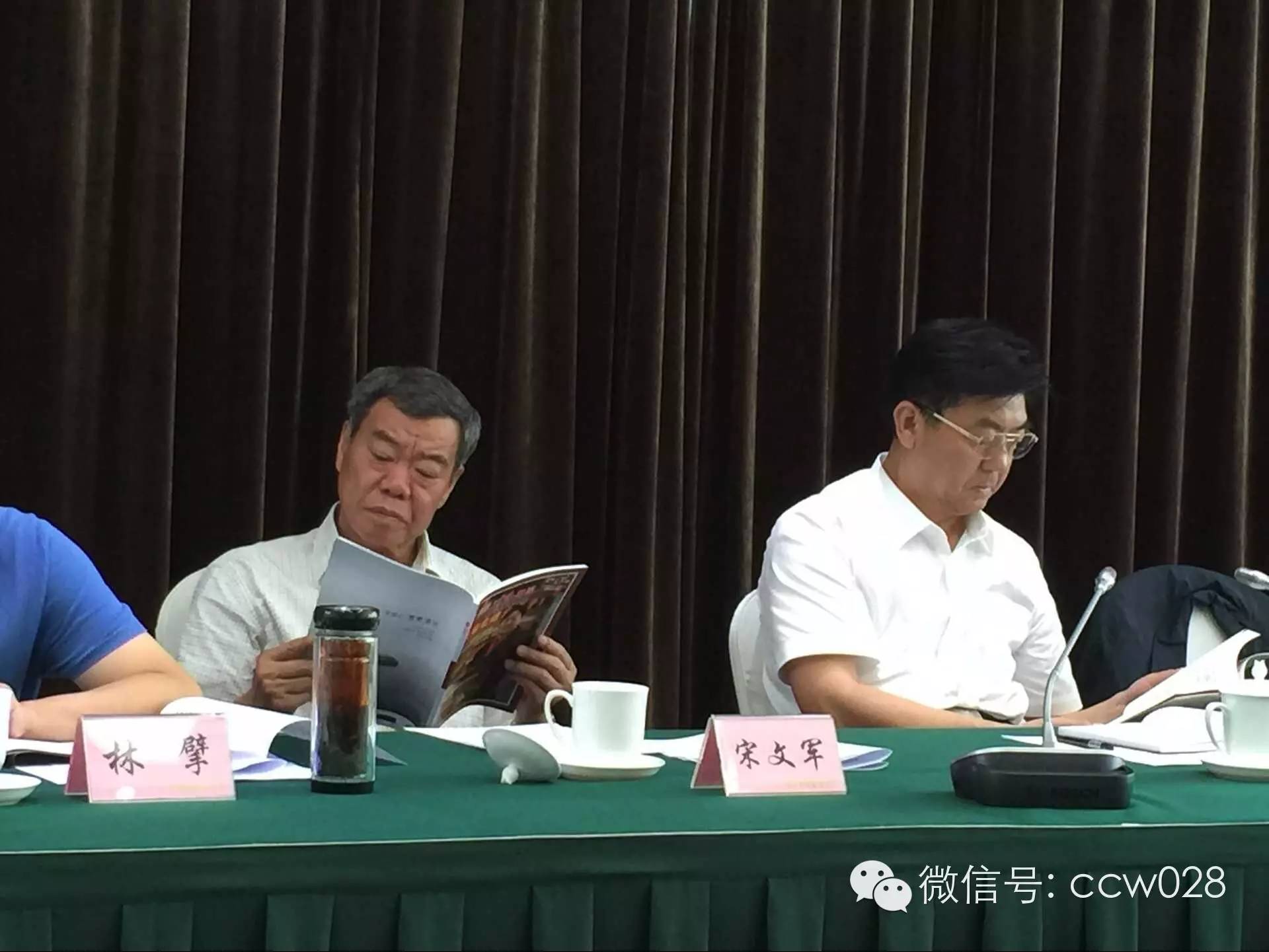 保护传统 弘扬国粹 ——张丽君会长发表传统文化保护与发展讲话 (图10)