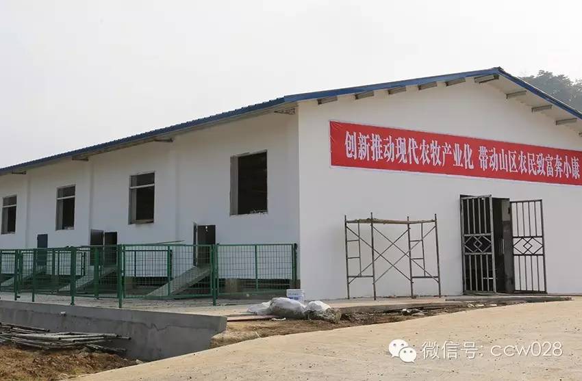 互联网加牧场在川试水 八万羊腿锁定冬至市场 (图11)