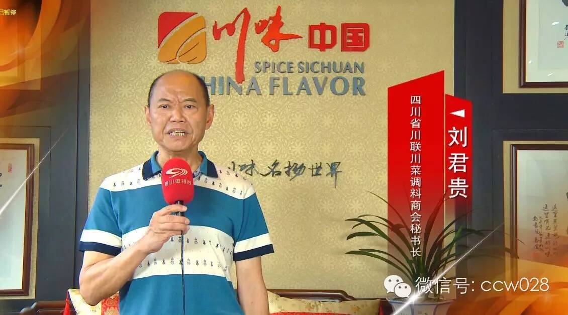 十年磨砺成一剑 川味抱团出关东||国内首座川味文化旅游主题商街落户长春 (图64)