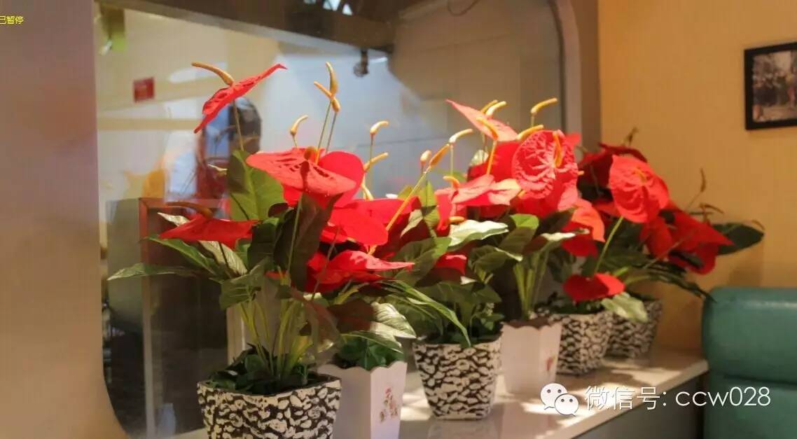 特色“动车”主题餐厅在蓉隆重开业(图8)