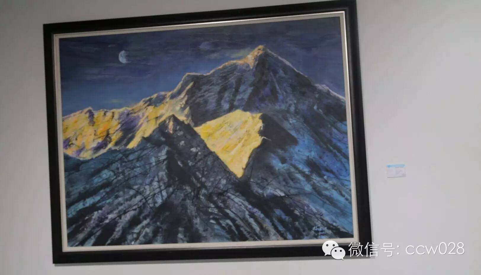 2015阿坝师范学院师生美术作品展艺展首发 (图10)