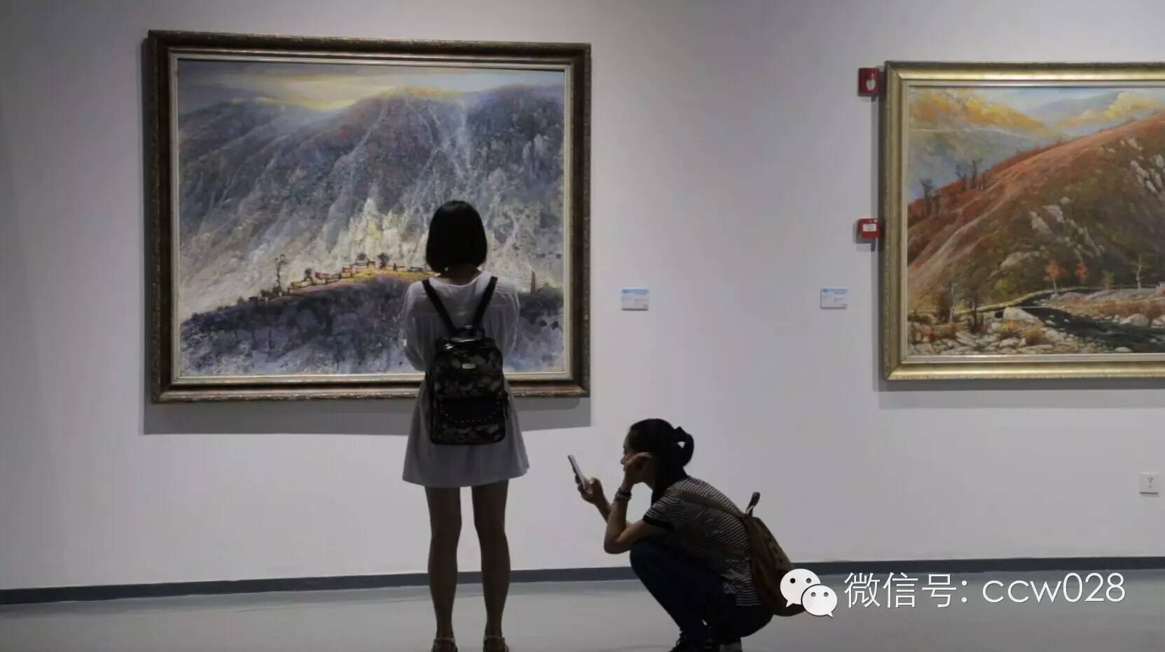 2015阿坝师范学院师生美术作品展艺展首发 (图12)