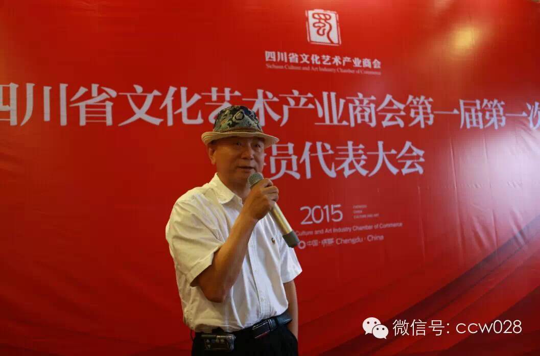 打造文化艺术产业新航母，四川文化艺术产业正式起航(图6)