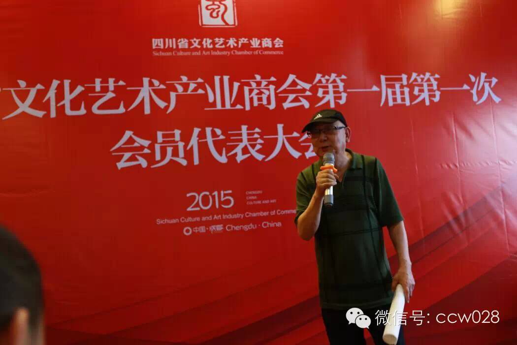 打造文化艺术产业新航母，四川文化艺术产业正式起航(图7)