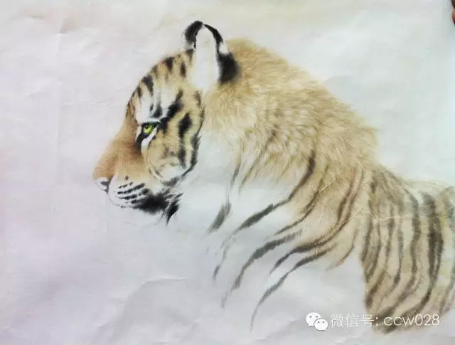 清华美院书画高研班王申勇  、 郑雅风专项研修班课堂风采(图9)