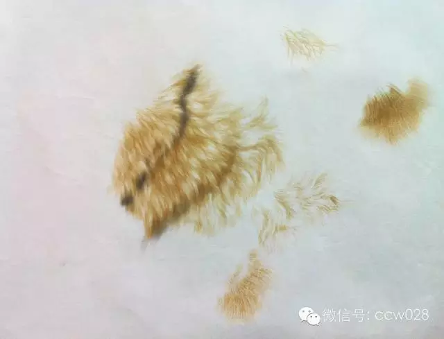 清华美院书画高研班王申勇  、 郑雅风专项研修班课堂风采(图5)