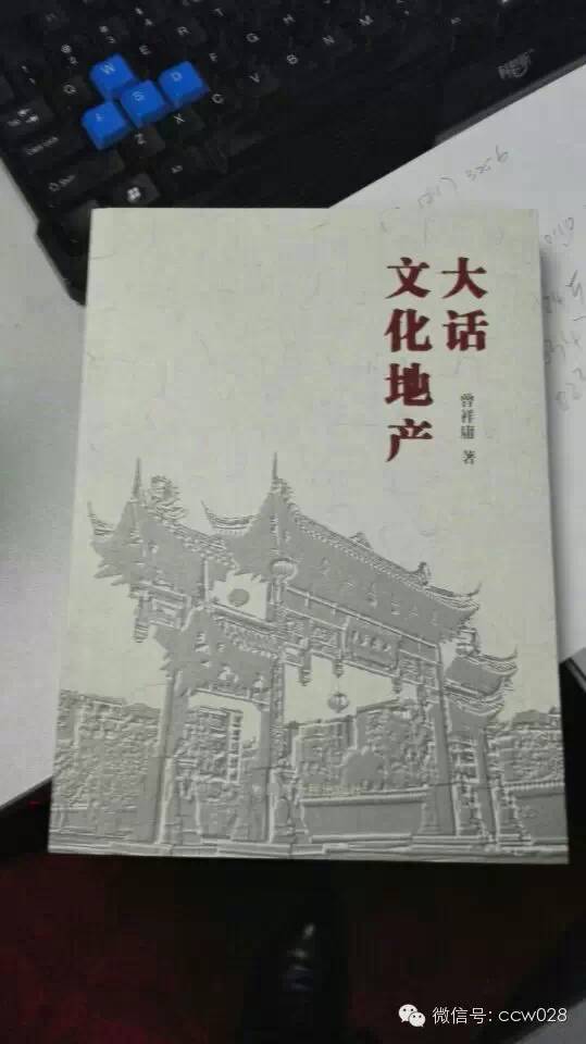 曾祥庸挥洒激情，大话文化旅游地产！(图7)