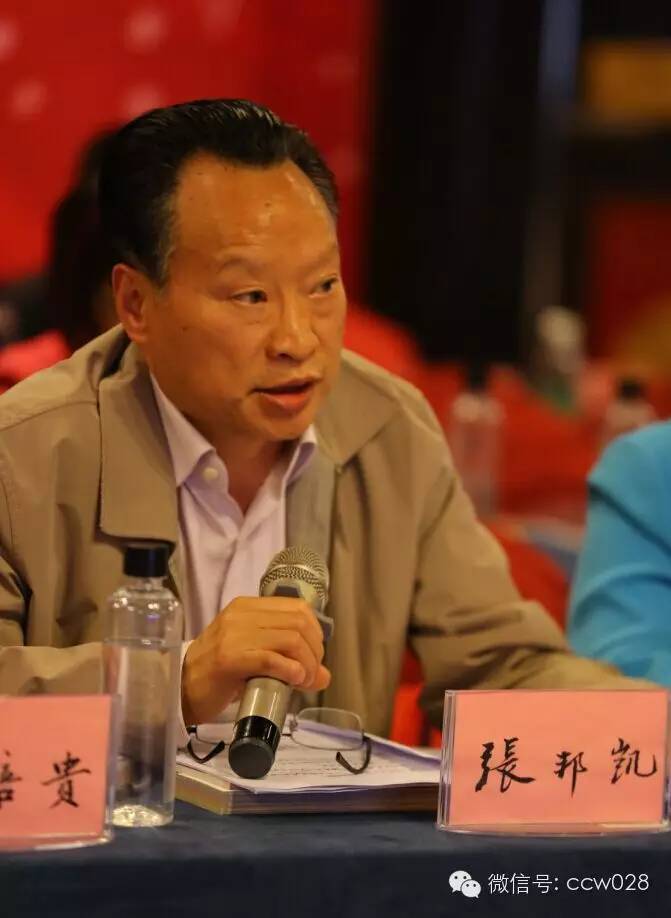 2015川菜文化与产业发展高端论坛 群英荟萃 论道川菜 (图7)