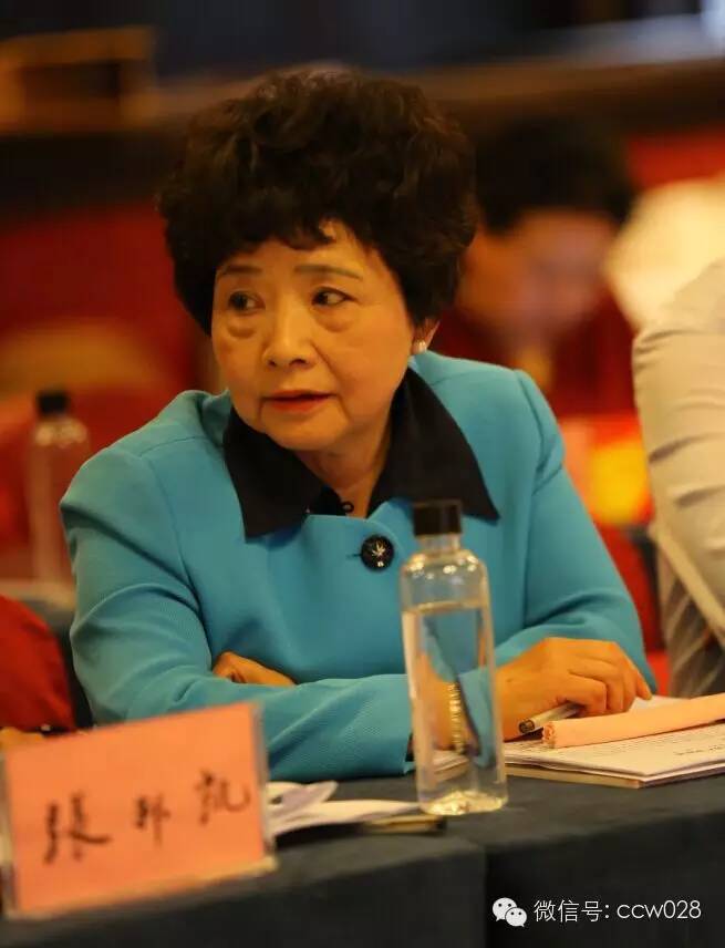 2015川菜文化与产业发展高端论坛 群英荟萃 论道川菜 (图8)