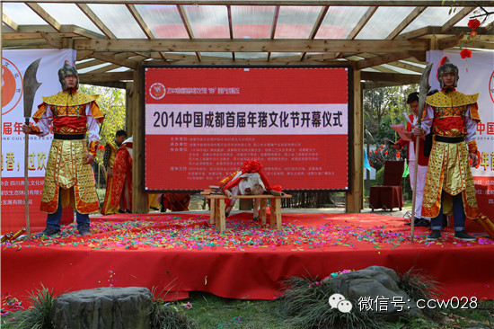 成都首届年猪文化节隆重开幕 (图1)