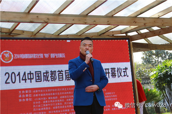 成都首届年猪文化节隆重开幕 (图4)