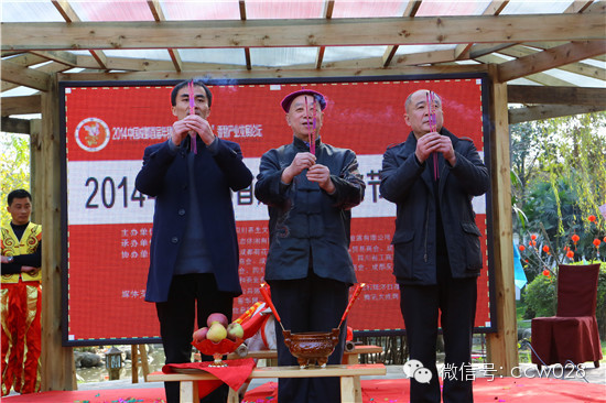 成都首届年猪文化节隆重开幕 (图9)