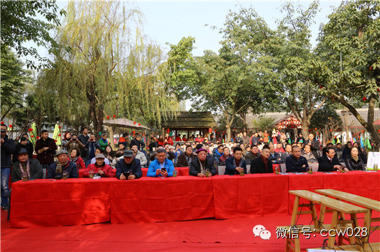 成都首届年猪文化节隆重开幕 (图11)