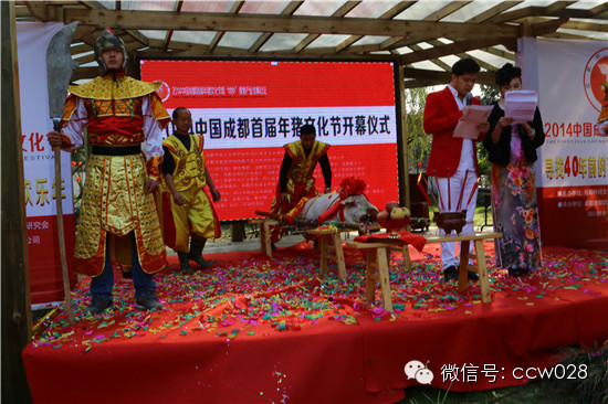 成都首届年猪文化节隆重开幕 (图13)