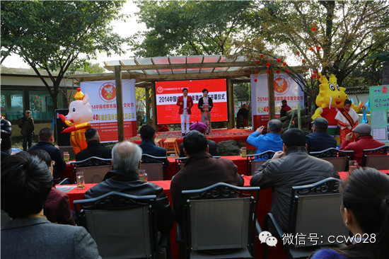 成都首届年猪文化节隆重开幕 (图12)