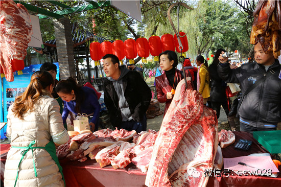 成都首届年猪文化节隆重开幕 (图14)