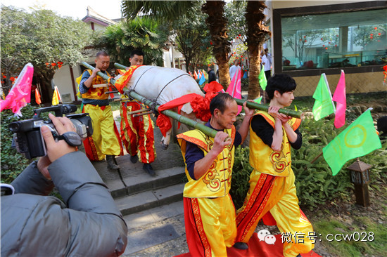 成都首届年猪文化节隆重开幕 (图18)