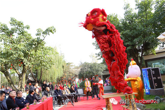 成都首届年猪文化节隆重开幕 (图20)