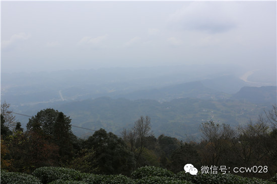 《味道四川》开播在即 蒙顶山拍摄巧逢初雪 (图2)