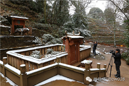《味道四川》开播在即 蒙顶山拍摄巧逢初雪 (图4)