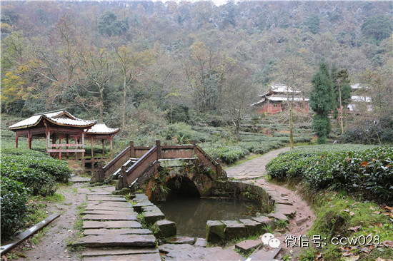 《味道四川》开播在即 蒙顶山拍摄巧逢初雪 (图8)