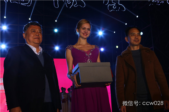 世旅大赛星光璀璨 靓丽佳丽惊艳龙和 (图19)