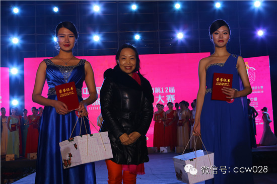 世旅大赛星光璀璨 靓丽佳丽惊艳龙和 (图22)