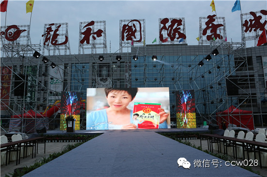 世旅赛8号决赛龙和 看佳丽千姿百态 (图19)