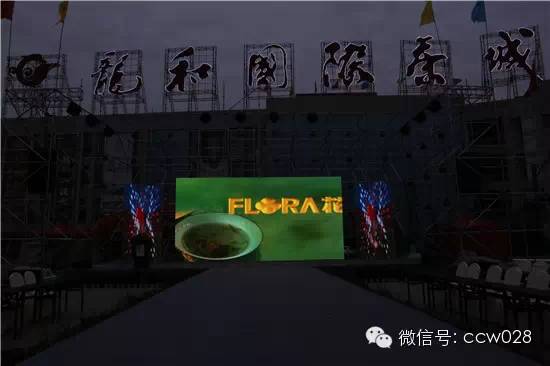 世旅赛8号决赛龙和 看佳丽千姿百态 (图23)