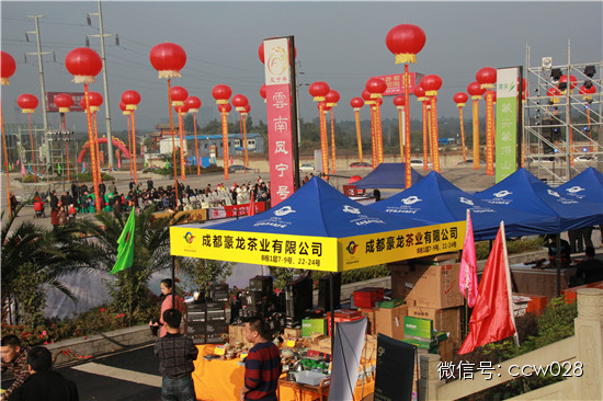品千人百桌子坝坝宴 看时尚佳人惊艳龙和——西南首届茶叶采购大会盛大开幕 (图5)