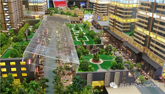 “巴蜀印巷”惊艳长春 取经问道锦里之母 (图9)