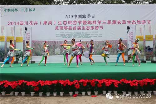 “2014四川花卉（果类）生态旅游节暨第三届薰衣草生态旅游节”昨日开幕 (图24)