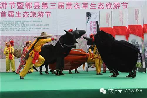 “2014四川花卉（果类）生态旅游节暨第三届薰衣草生态旅游节”昨日开幕 (图20)