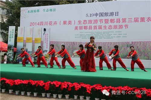 “2014四川花卉（果类）生态旅游节暨第三届薰衣草生态旅游节”昨日开幕 (图21)