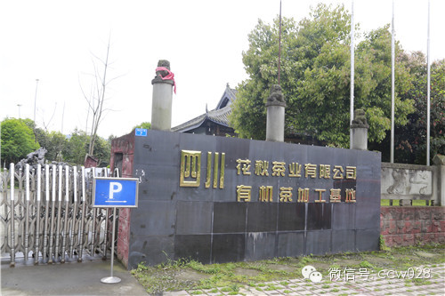川味中国文化传媒产业机构参观四川花秋茶叶有限公司 (图2)