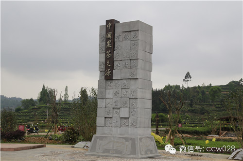 川味中国文化传媒产业机构参观四川花秋茶叶有限公司 (图7)