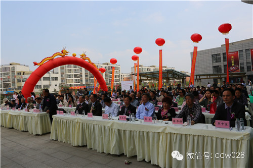 中国国际茶文化研究会·西南茶文化研究中心落户龙和国际茶城(图2)