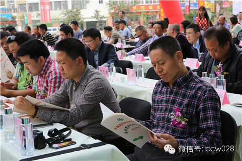 中国国际茶文化研究会·西南茶文化研究中心落户龙和国际茶城(图9)