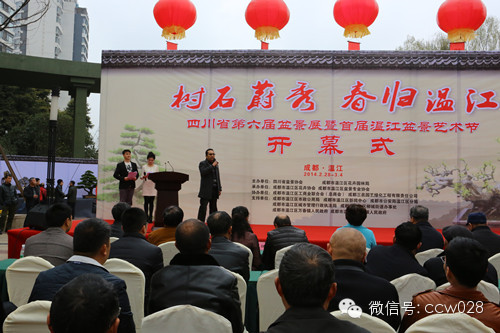 “树石蔚秀•春归温江” 四川省第六届盆景展暨首届温江盆景艺术节开幕 (图4)