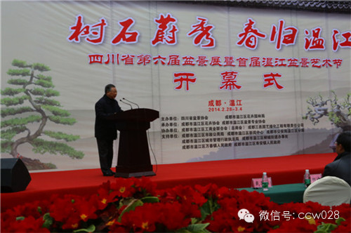 “树石蔚秀•春归温江” 四川省第六届盆景展暨首届温江盆景艺术节开幕 (图5)