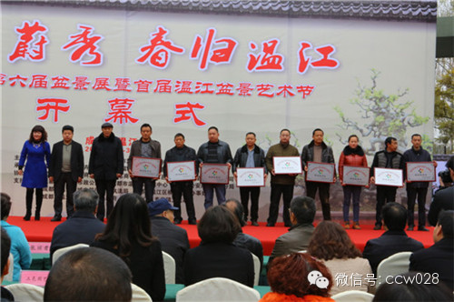 “树石蔚秀•春归温江” 四川省第六届盆景展暨首届温江盆景艺术节开幕 (图9)