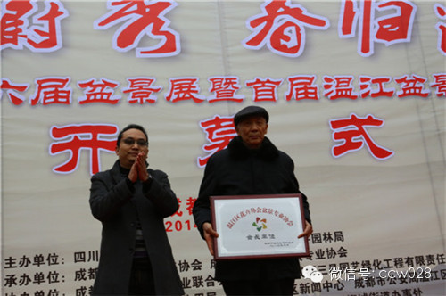 “树石蔚秀•春归温江” 四川省第六届盆景展暨首届温江盆景艺术节开幕 (图8)