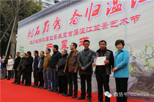 “树石蔚秀•春归温江” 四川省第六届盆景展暨首届温江盆景艺术节开幕 (图7)