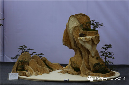 “树石蔚秀•春归温江” 四川省第六届盆景展暨首届温江盆景艺术节开幕 (图12)