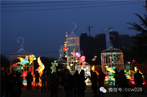 元宵节没去处？切塔子山公园逛熊猫灯会 (图5)