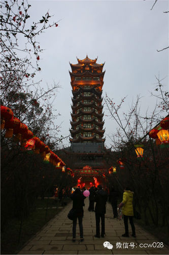 元宵节没去处？切塔子山公园逛熊猫灯会 (图8)