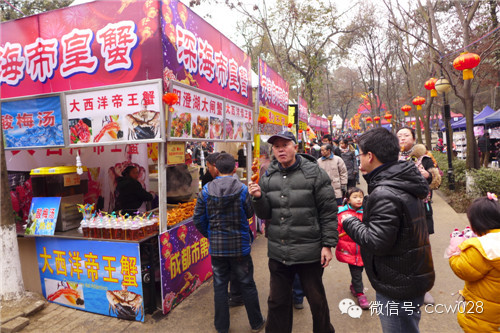 元宵节没去处？切塔子山公园逛熊猫灯会 (图10)