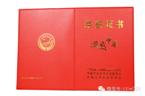 “爱我中华”全国青少年才艺比赛四川赛区参赛选手赴港参加总展评 载誉而归 (图6)