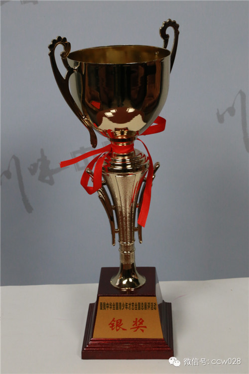 “爱我中华”全国青少年才艺比赛四川赛区参赛选手赴港参加总展评 载誉而归 (图8)