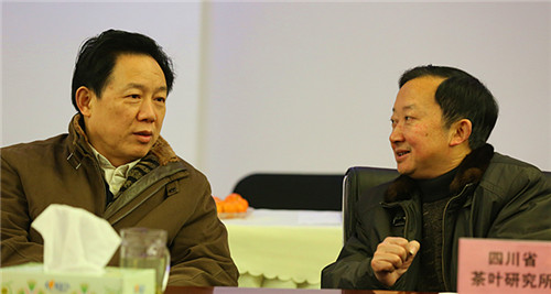 "2014成都市茶产业重点企业研讨会"在成都龙和国际茶城举行 (图2)